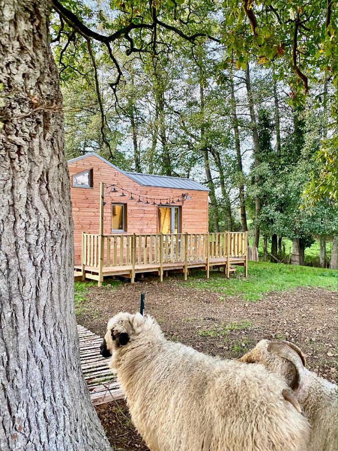 Villa Jolie Tiny House Sous Les Grands Arbres Cholet Exterior foto