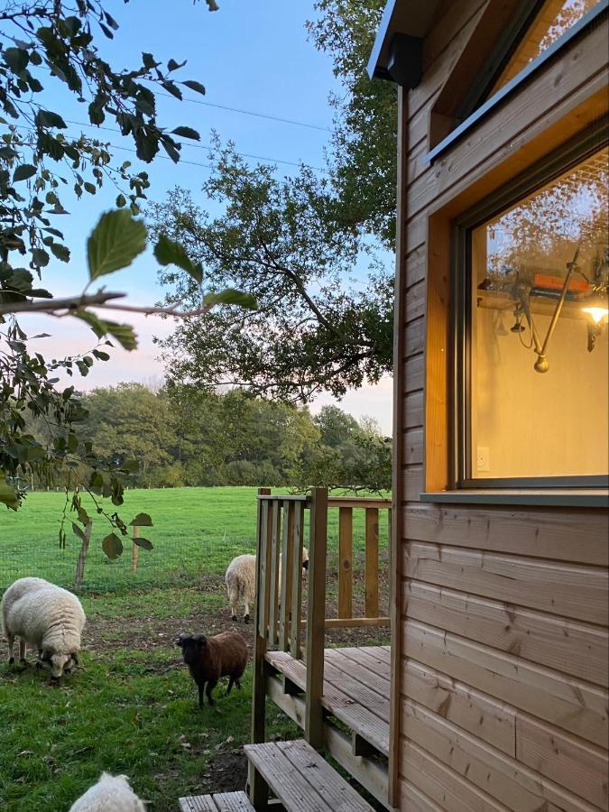 Villa Jolie Tiny House Sous Les Grands Arbres Cholet Exterior foto